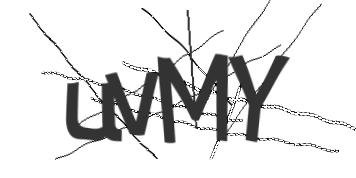 Geben sie die im Bild dargestellte Zeichenfolge ein